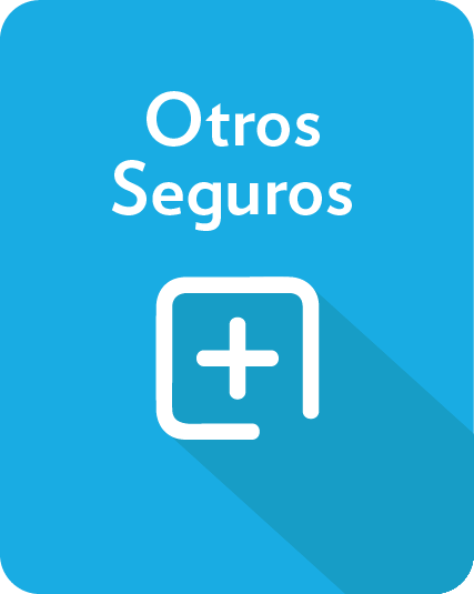 Otros Seguros